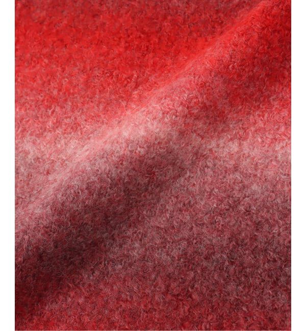 Oriens JOURNAL STANDARD「【CARHARTT WIP / カーハート ダブリューアイピー】 TONY SCARF」|マフラー|