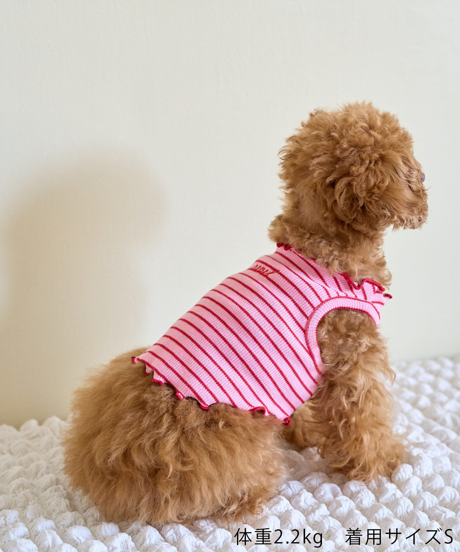 ROPE PICNIC PASSAGE「【DOG】マルチメロウボーダートップス/リンクコーデ」|その他|