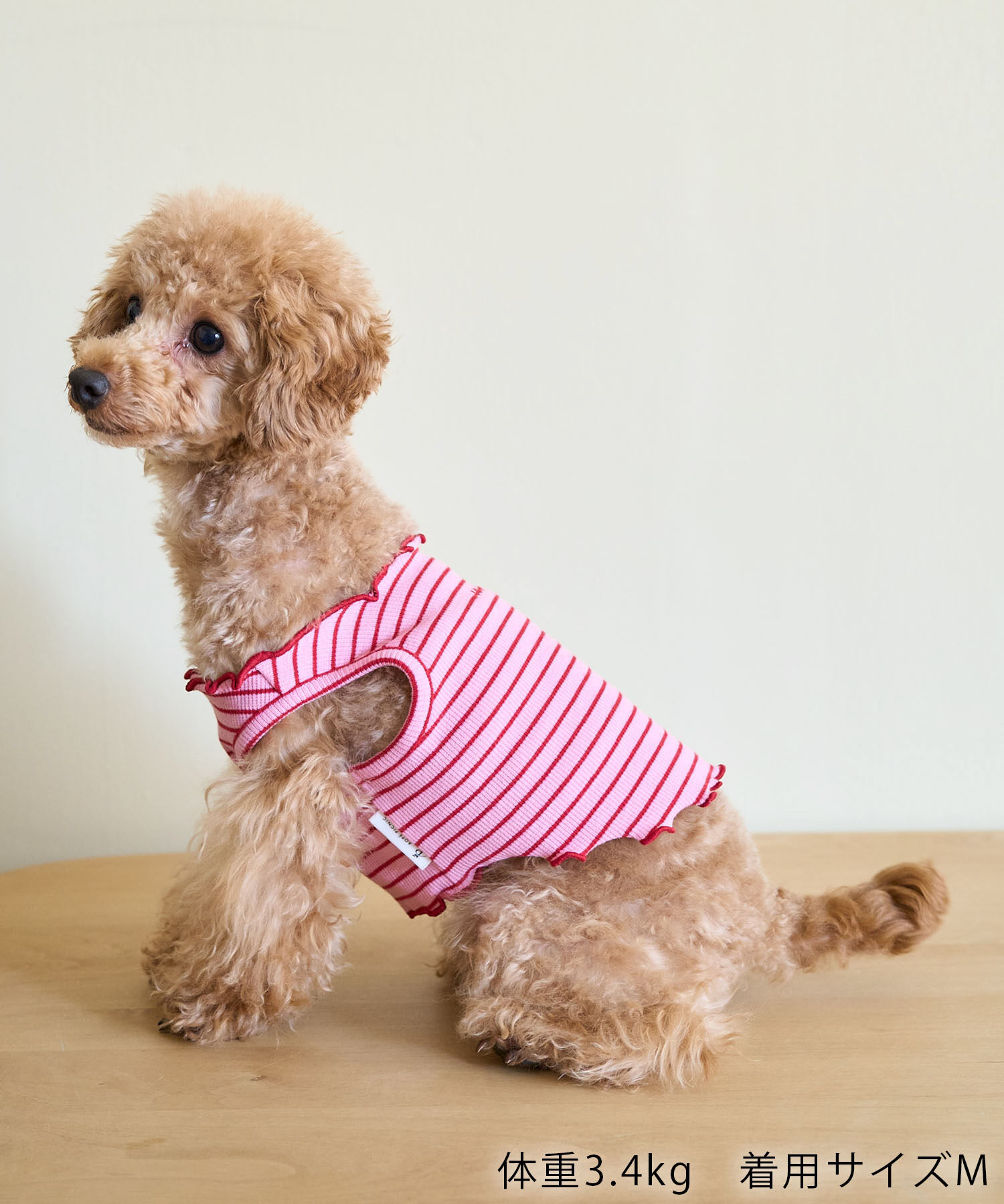 ROPE PICNIC PASSAGE「【DOG】マルチメロウボーダートップス/リンクコーデ」|その他|