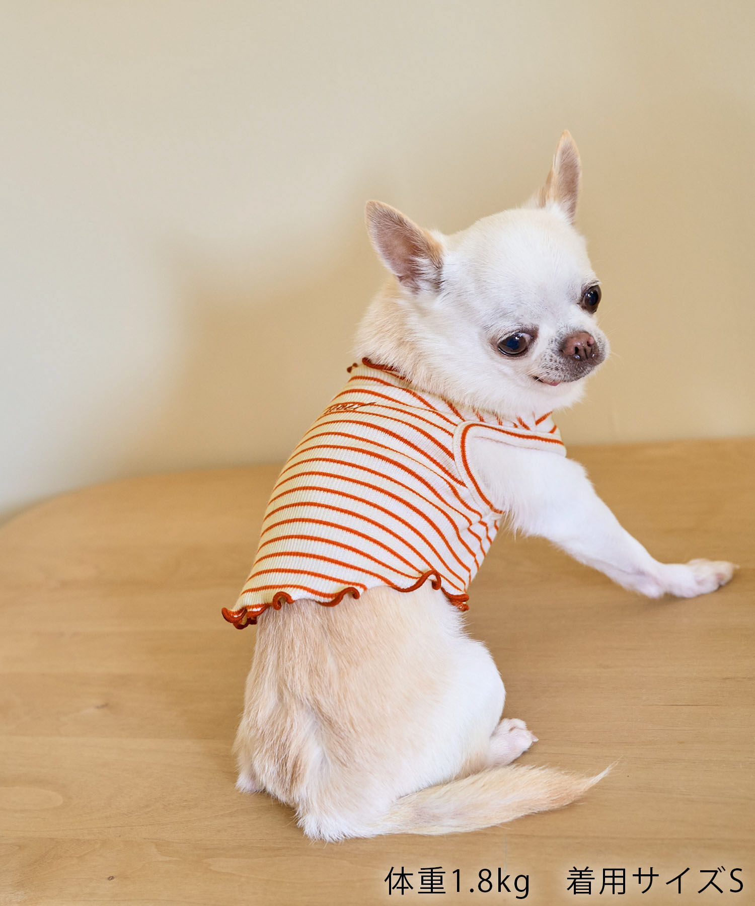 ROPE PICNIC PASSAGE「【DOG】マルチメロウボーダートップス/リンクコーデ」|その他|