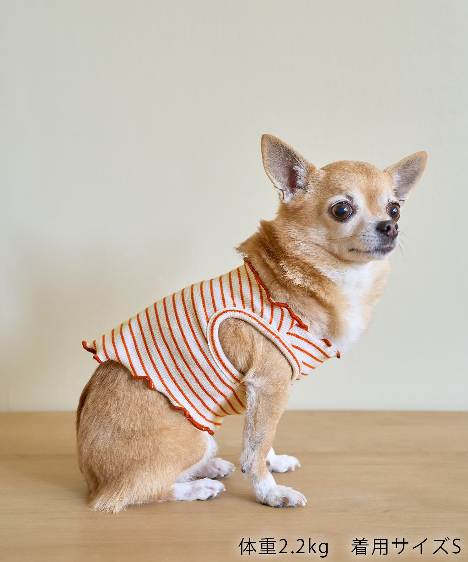 ROPE PICNIC PASSAGE「【DOG】マルチメロウボーダートップス/リンクコーデ」|その他|