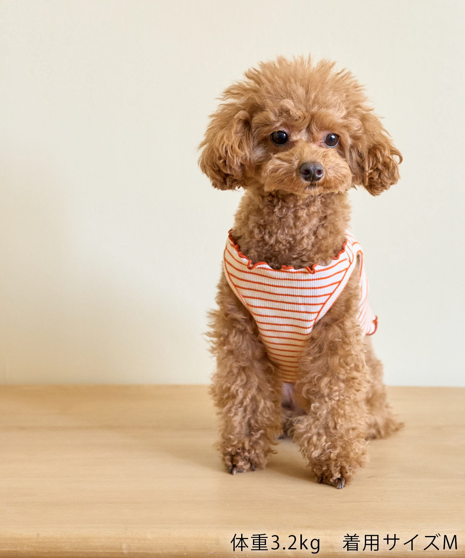 ROPE PICNIC PASSAGE「【DOG】マルチメロウボーダートップス/リンクコーデ」|その他|