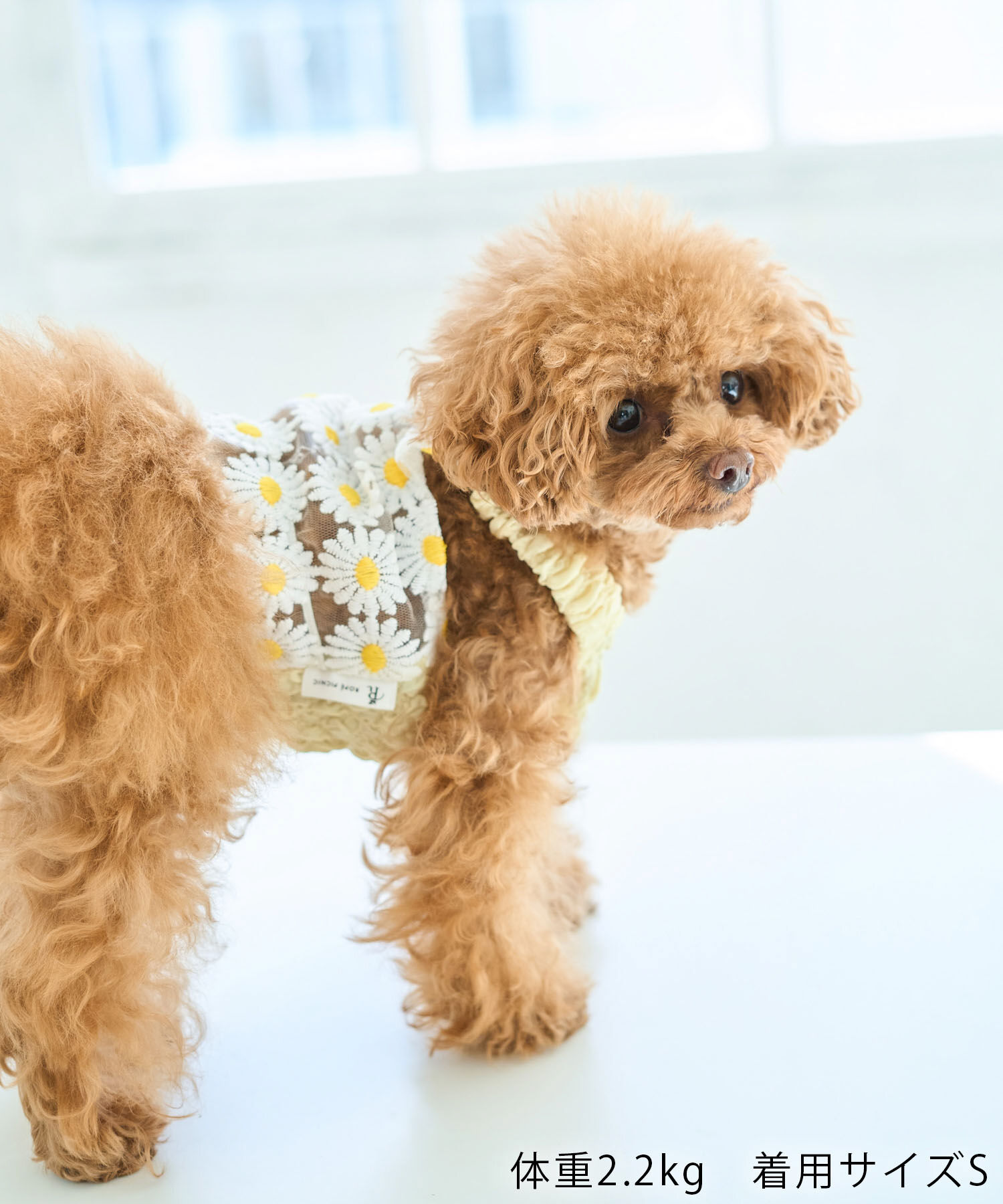 ROPE PICNIC PASSAGE「【DOG】フラワーキャミソール」|その他|