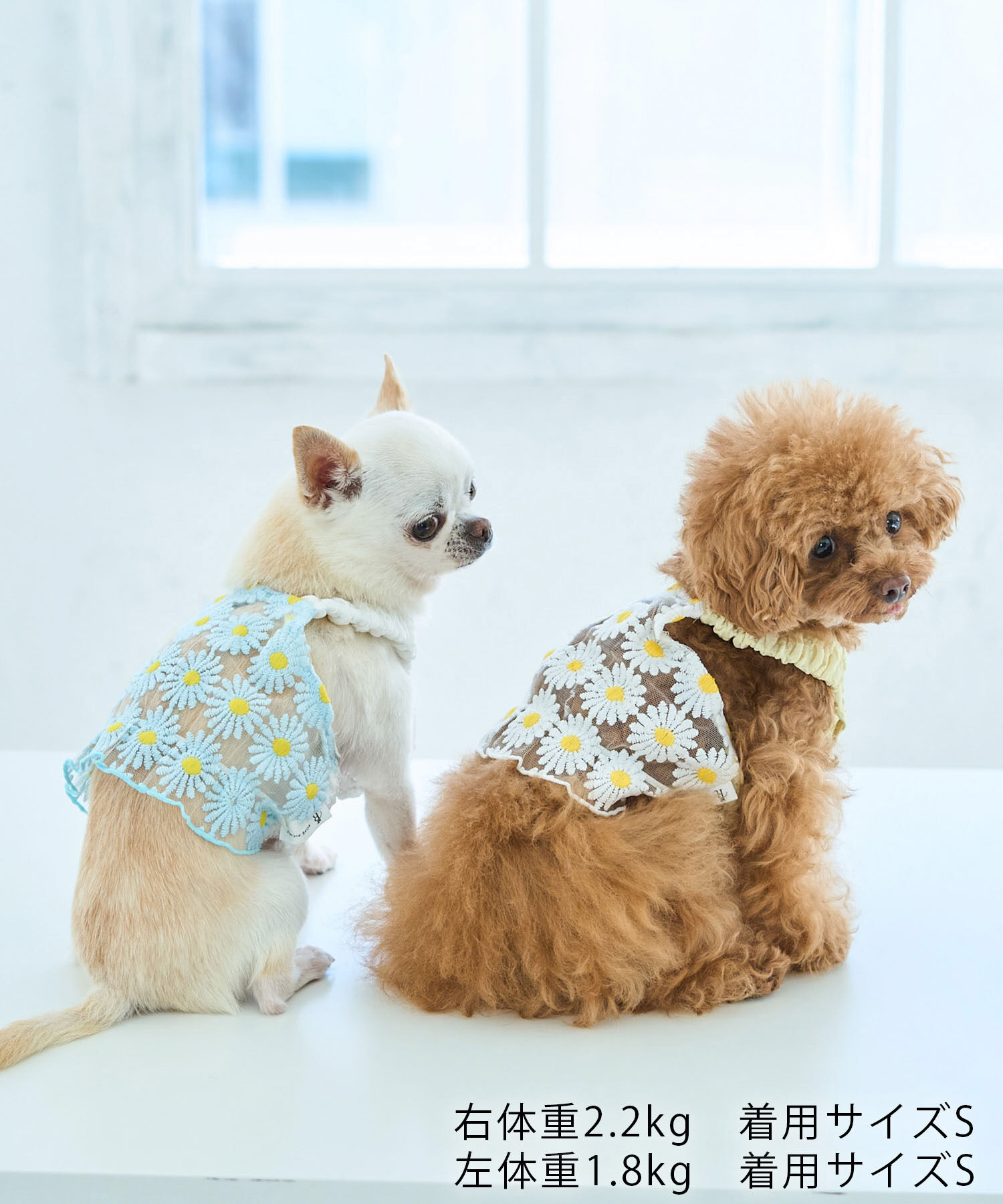 ROPE PICNIC PASSAGE「【DOG】フラワーキャミソール」|その他|