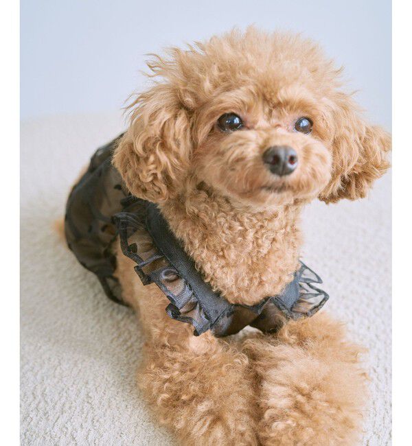 ROPE PICNIC PASSAGE「【DOG】シアーハート柄キャミソール」|その他|クロメイン