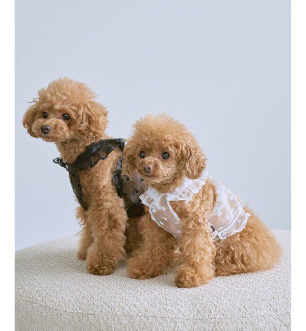 ROPE PICNIC PASSAGE「【DOG】シアーハート柄キャミソール」|その他|