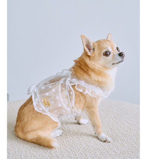 ROPE PICNIC PASSAGE「【DOG】シアーハート柄キャミソール」|その他|