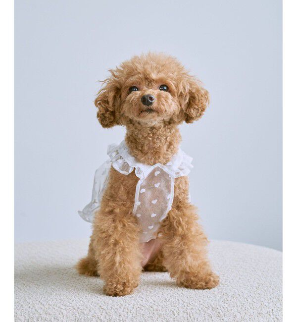 ROPE PICNIC PASSAGE「【DOG】シアーハート柄キャミソール」|その他|