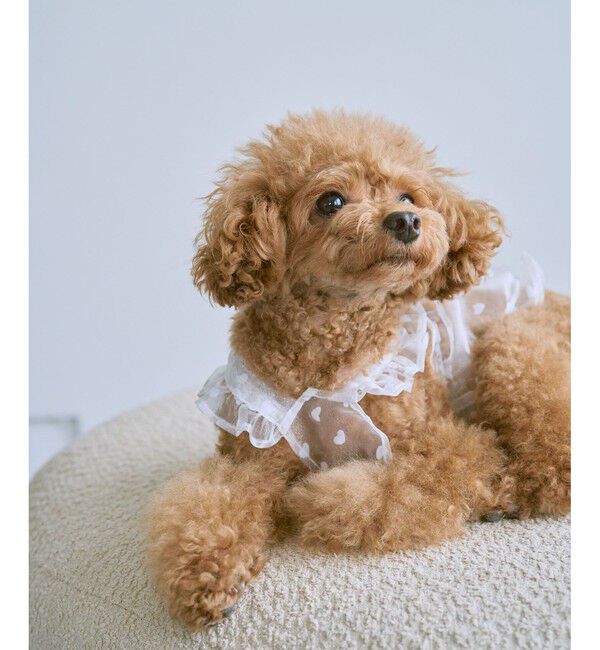 ROPE PICNIC PASSAGE「【DOG】シアーハート柄キャミソール」|その他|