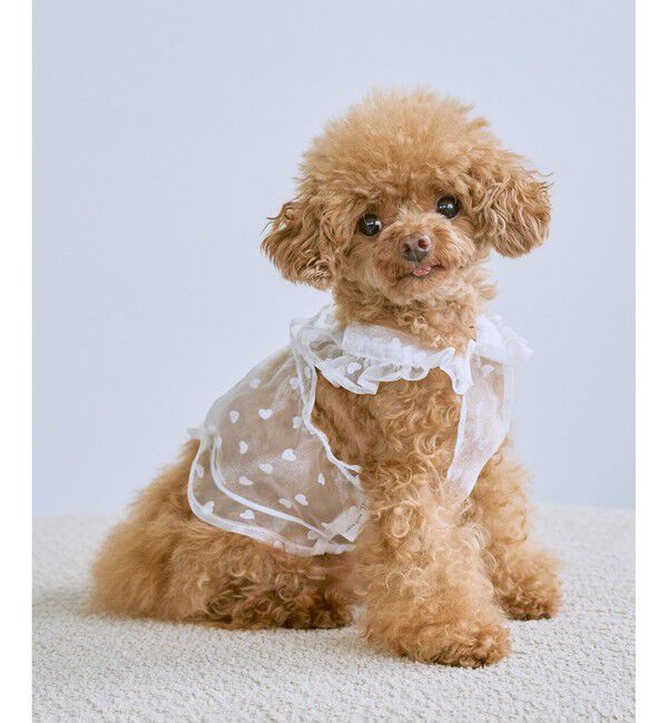 ROPE PICNIC PASSAGE「【DOG】シアーハート柄キャミソール」|その他|オフサブ