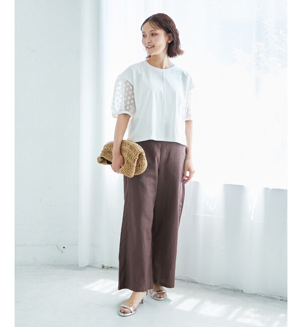  「TORRAZZO DONNAドット切替カットソー」|Tシャツ・カットソー|