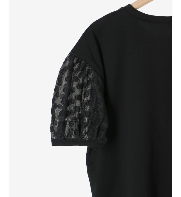  「TORRAZZO DONNAドット切替カットソー」|Tシャツ・カットソー|