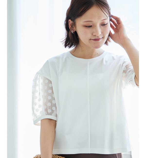  「TORRAZZO DONNAドット切替カットソー」|Tシャツ・カットソー|