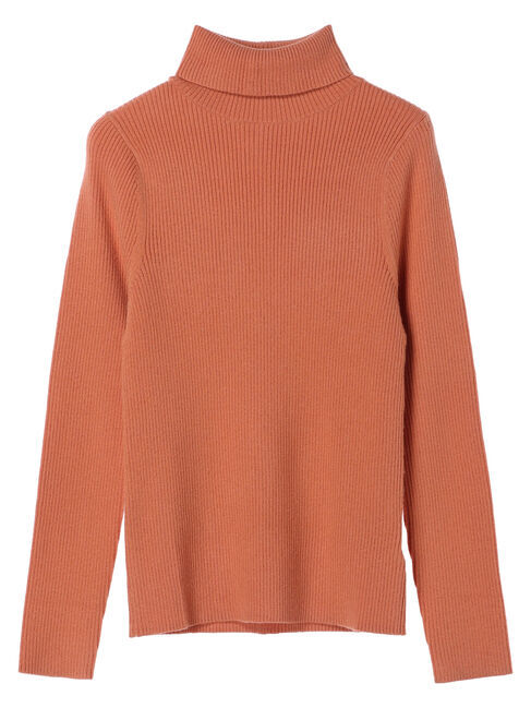 earth music&ecology「やわらかタッチリブタートルネックプルオーバー」|ニット・セーター|