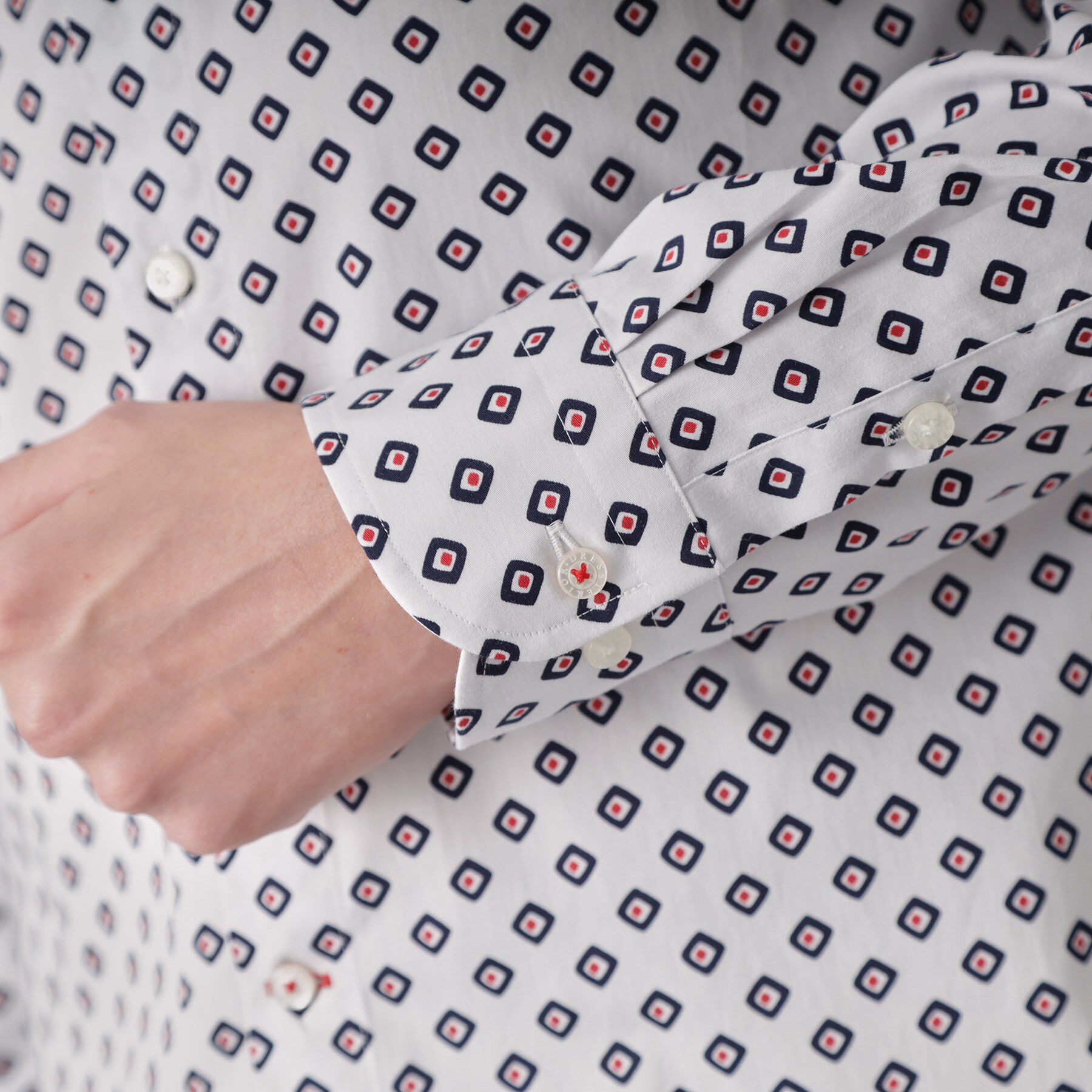 DRESSTERIOR「ポートベロープリントシャツ」|シャツ・ブラウス|