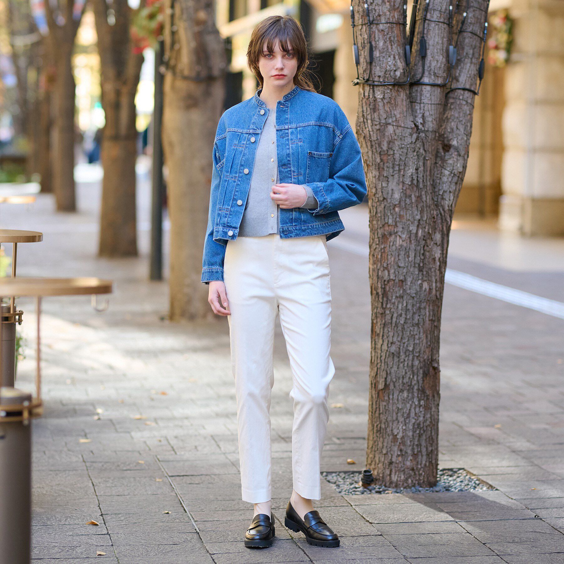 DRESSTERIOR「ヴィンテージバンドカラーGジャン」|デニムジャケット|