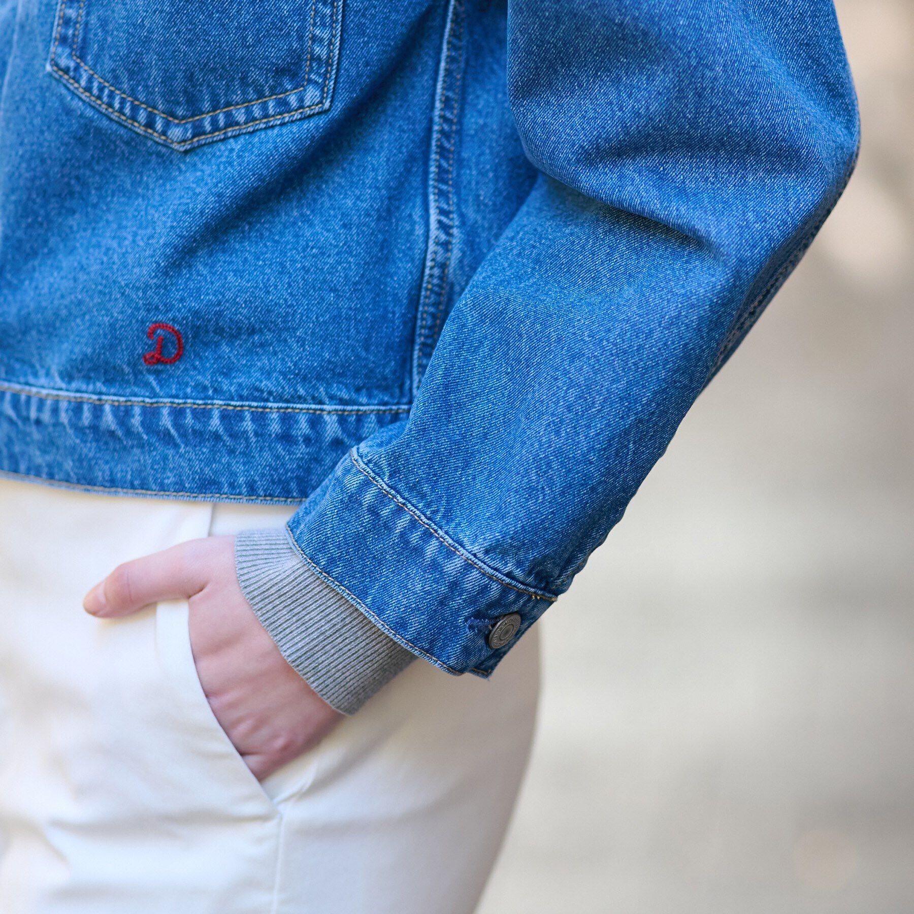 DRESSTERIOR「ヴィンテージバンドカラーGジャン」|デニムジャケット|