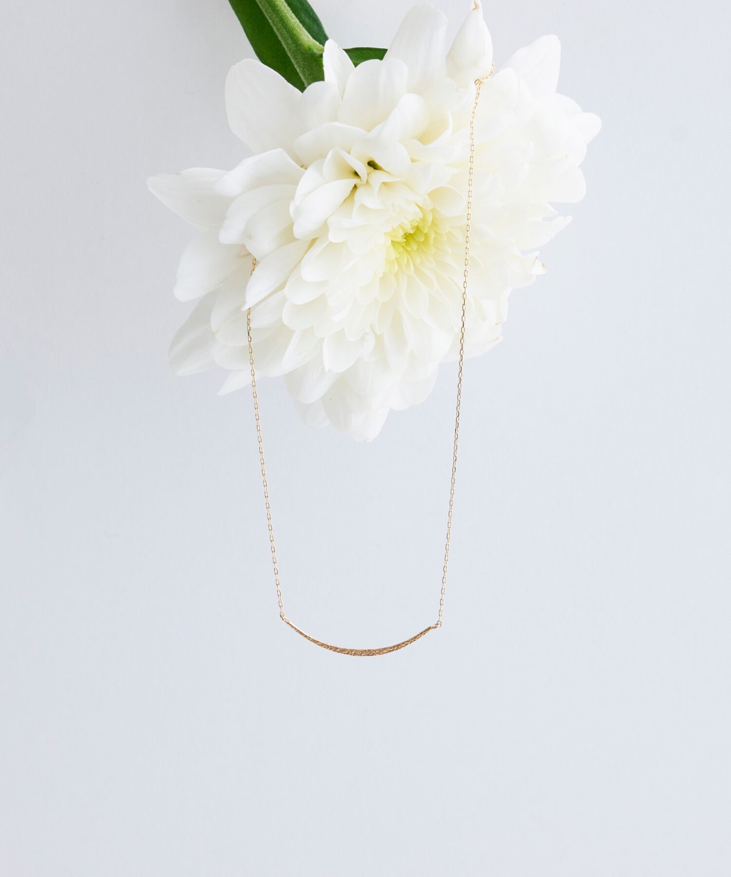 JUPITER「【K10】ゴールドラインネックレス/ムーン」|ネックレス|