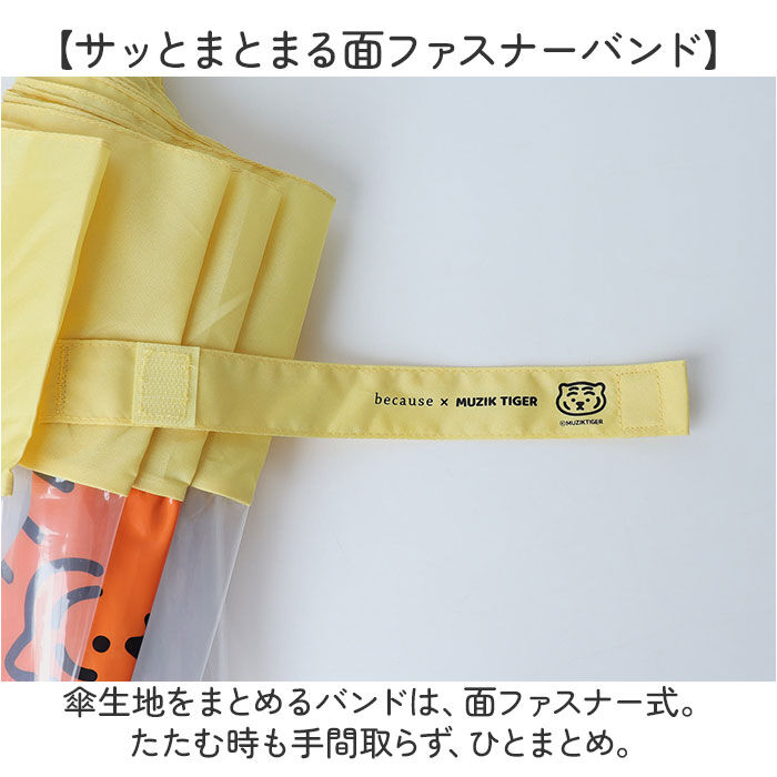 BACKYARD FAMILY「because ビニール傘 ビコーズ B-552325 通販 長傘 ジャンプ傘 傘 雨傘 かさ」|傘|