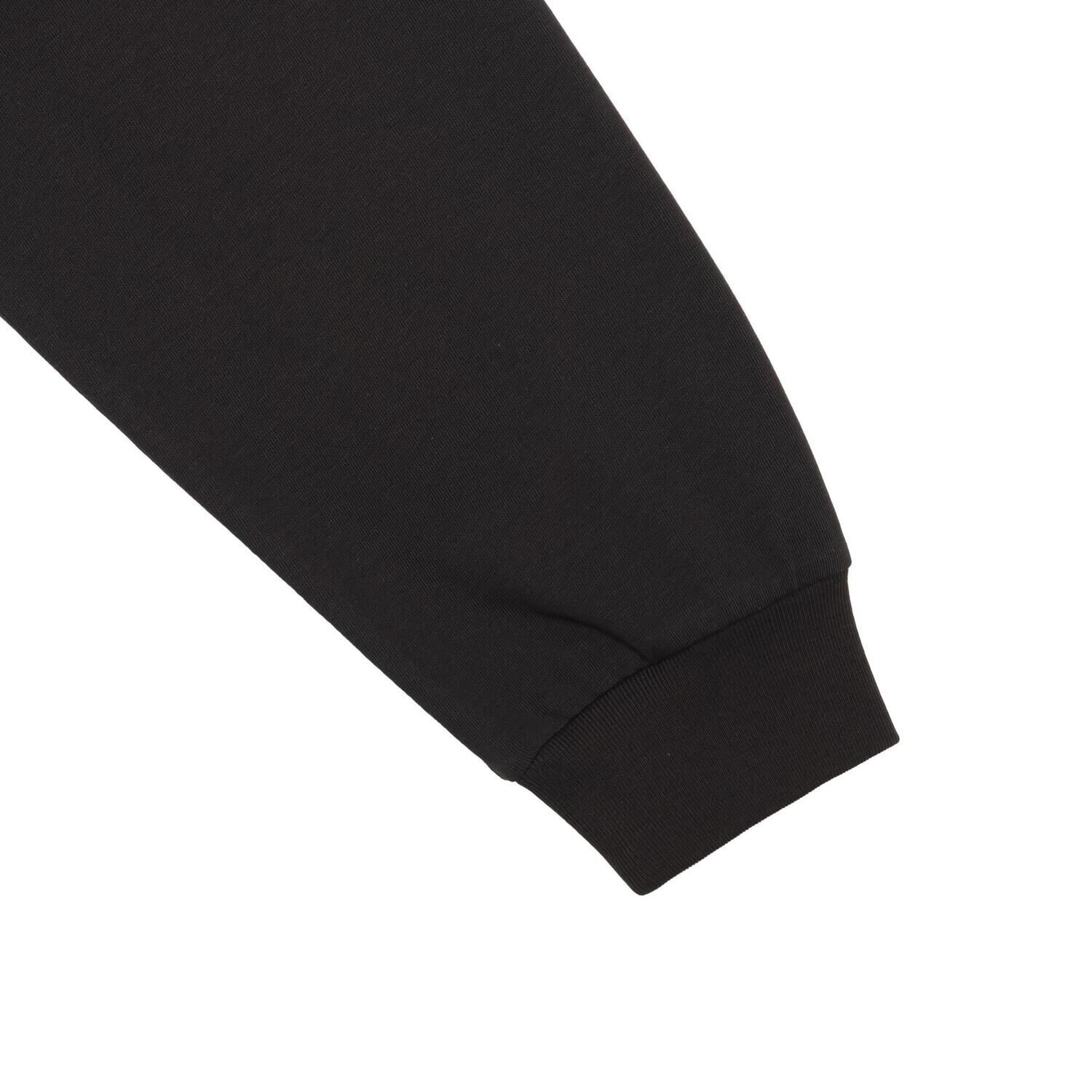 PUMA「【PUMA ｳｪｱ】M MONSTER HUNTER WILDS LS TEE」|Tシャツ・カットソー|