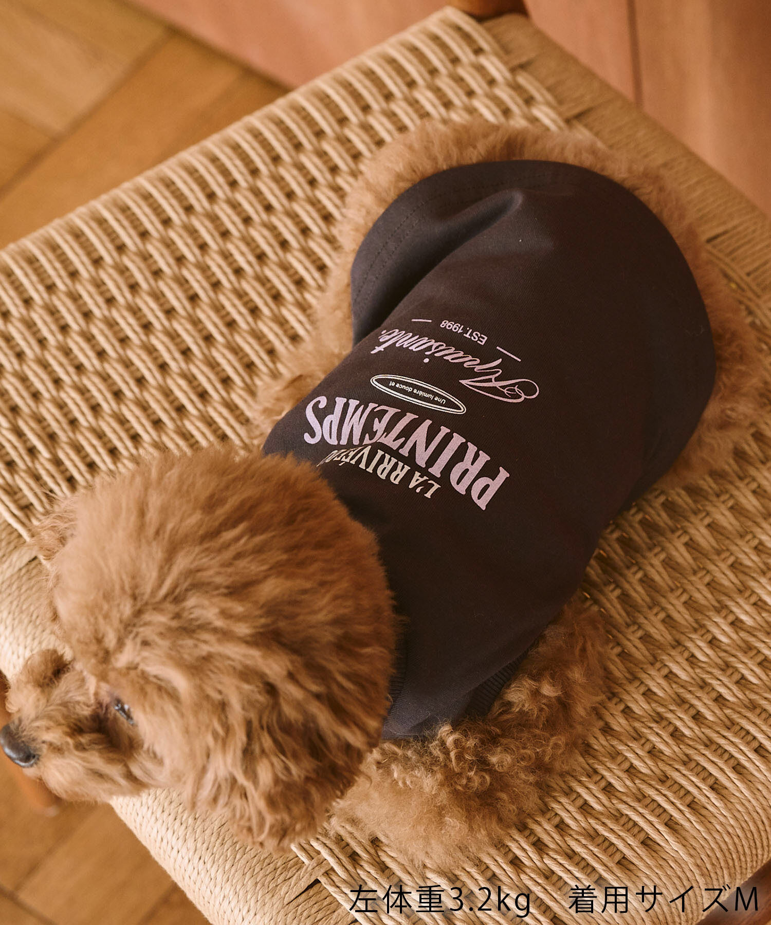 ROPE PICNIC PASSAGE「【DOG】マウンテンプリントタンクトップ/リンクコーデ」|その他|