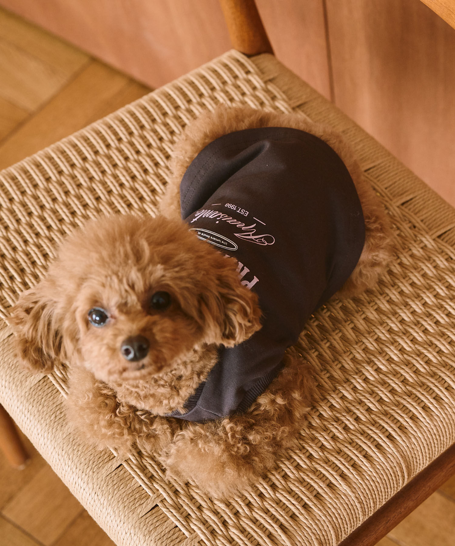 ROPE PICNIC PASSAGE「【DOG】マウンテンプリントタンクトップ/リンクコーデ」|その他|