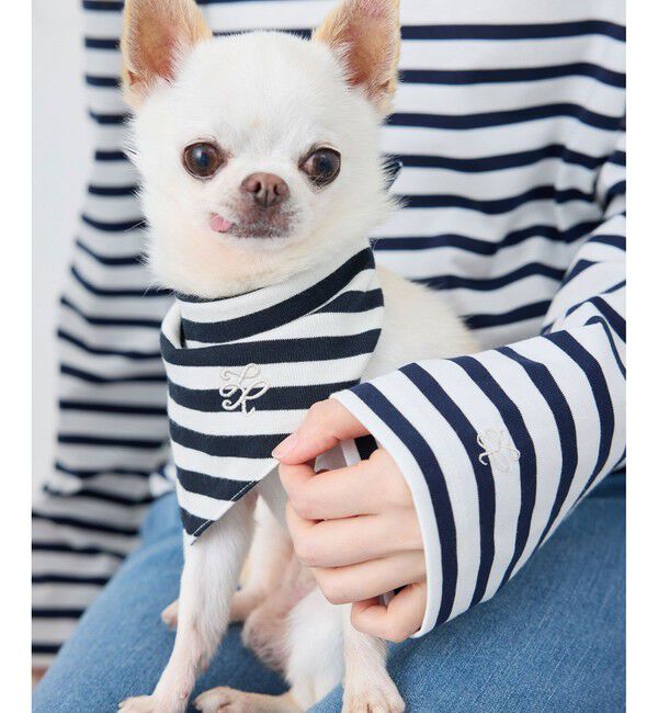 ROPE PICNIC PASSAGE「【DOG】バンダナ スカーフ」|その他|ネイビー(40)