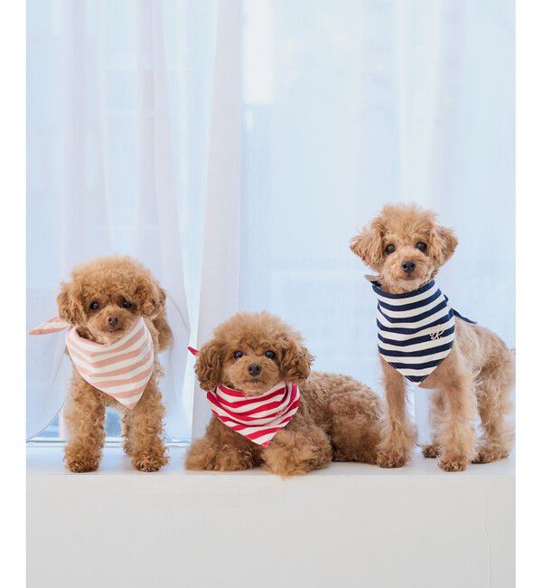 ROPE PICNIC PASSAGE「【DOG】バンダナ スカーフ」|その他|