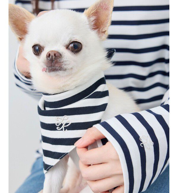 ROPE PICNIC PASSAGE「【DOG】バンダナ スカーフ」|その他|