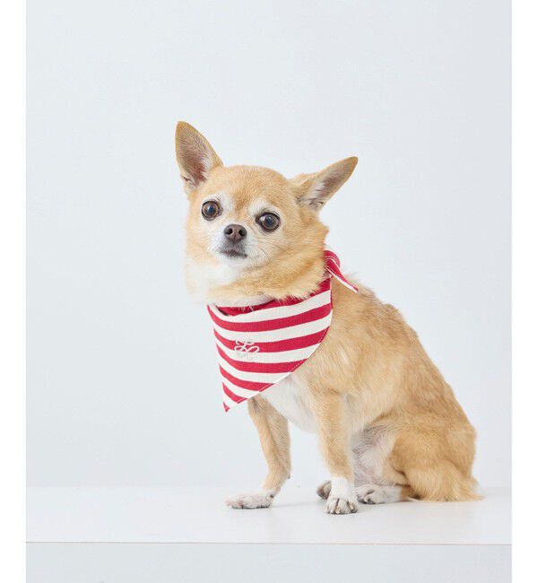 ROPE PICNIC PASSAGE「【DOG】バンダナ スカーフ」|その他|