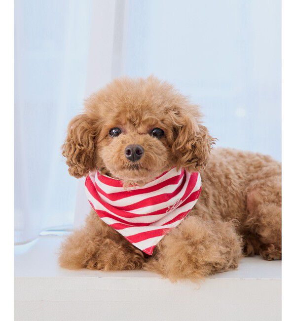 ROPE PICNIC PASSAGE「【DOG】バンダナ スカーフ」|その他|レッド(60)