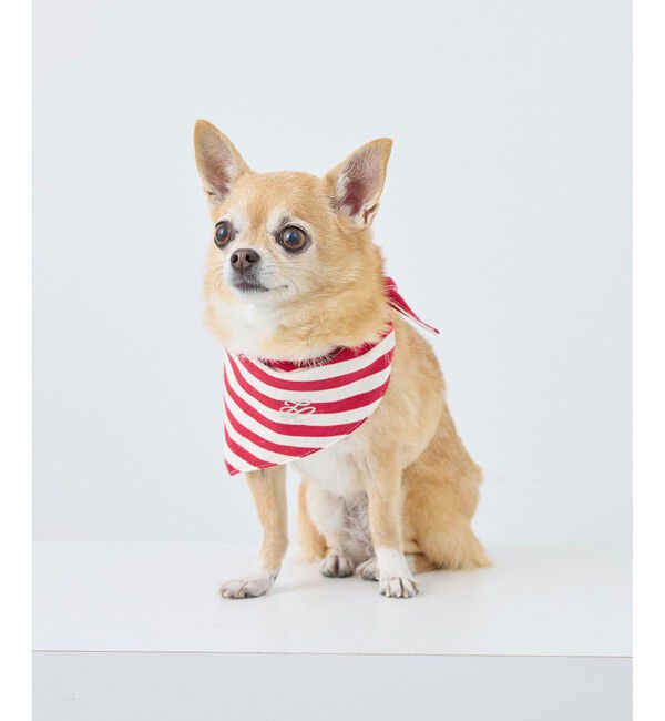 ROPE PICNIC PASSAGE「【DOG】バンダナ スカーフ」|その他|