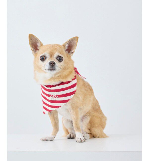 ROPE PICNIC PASSAGE「【DOG】バンダナ スカーフ」|その他|