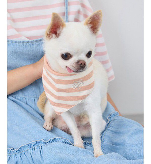 ROPE PICNIC PASSAGE「【DOG】バンダナ スカーフ」|その他|