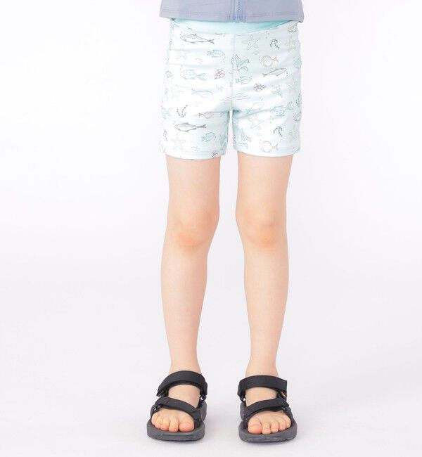 SHIPS KIDS「SHIPS KIDS:90～130cm / シーアニマル スイム ボクサー ショーツ」|その他|