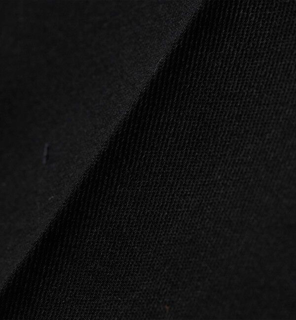 SHIPS any「Dickies:〈洗濯機可能〉874 ワーク パンツ」|チノ|