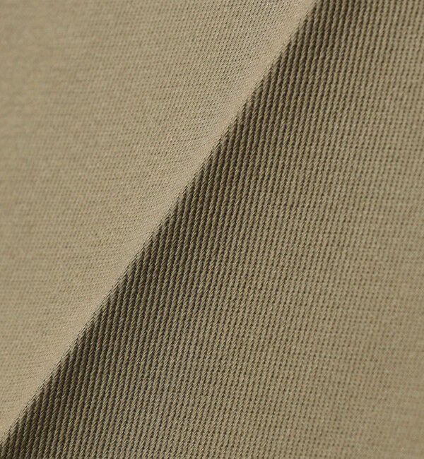 SHIPS any「Dickies:〈洗濯機可能〉874 ワーク パンツ」|チノ|