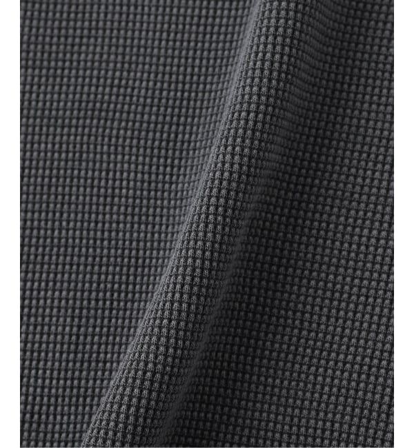 JOINT WORKS「CARHARTT WIP / カーハート ダブリューアイピー L/S VISTA WAFFLE T-SHIRT」|Tシャツ・カットソー|