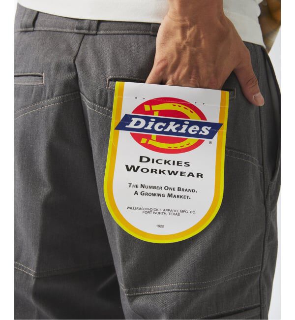 JOURNAL STANDARD relume「DICKIES / ディッキーズ 別注 &rdquo;ダブルニー&times;ダブルヒップ &rdquo; ワークパンツ」|その他|