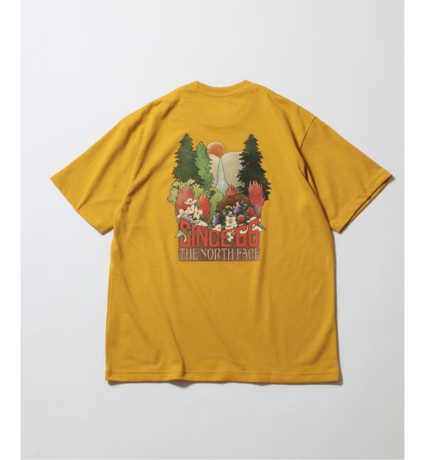 JOURNAL STANDARD relume「THE NORTH FACE ショートスリーブ ヨセミテ フォールズティー」|Tシャツ・カットソー|イエロー