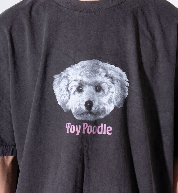 GLOSTER「【新柄追加】【GLOSTER/グロスター】DOG&CAT 犬猫プリント ピグメント プリントTシャツ」|Tシャツ・カットソー|