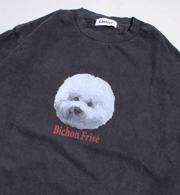 GLOSTER「【新柄追加】【GLOSTER/グロスター】DOG&CAT 犬猫プリント ピグメント プリントTシャツ」|Tシャツ・カットソー|