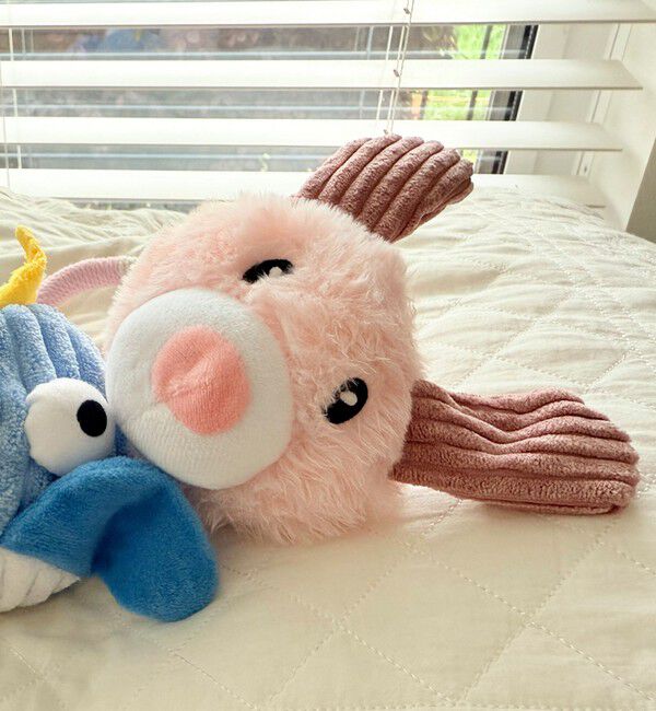 fredy emue「【FR PETS】PET TOY アニマル」|名刺入れ・カードケース|