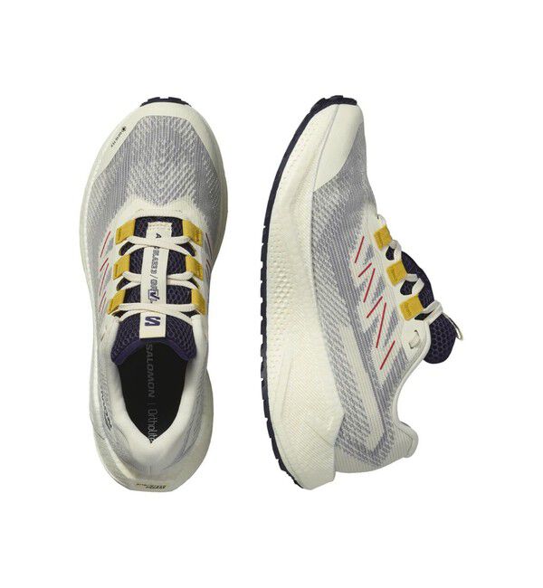 SALON adam et rope'「【SALOMON（サロモン）】AERO BLAZE 3 GRVL GTX W」|スニーカー|