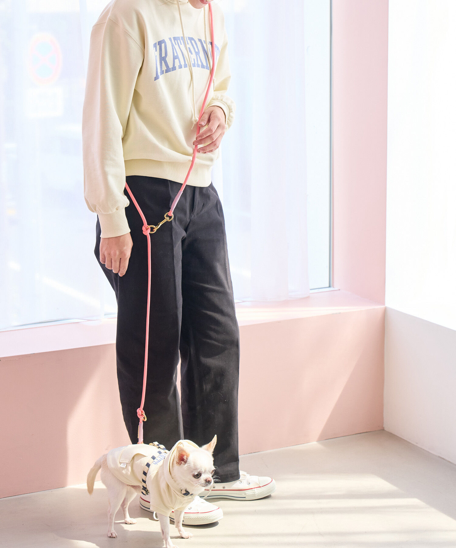 ROPE PICNIC PASSAGE「【DOG】ハンズフリードッグリード」|その他|