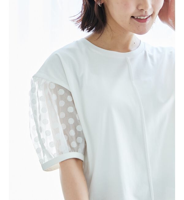  「TORRAZZO DONNAドット切替カットソー」|Tシャツ・カットソー|