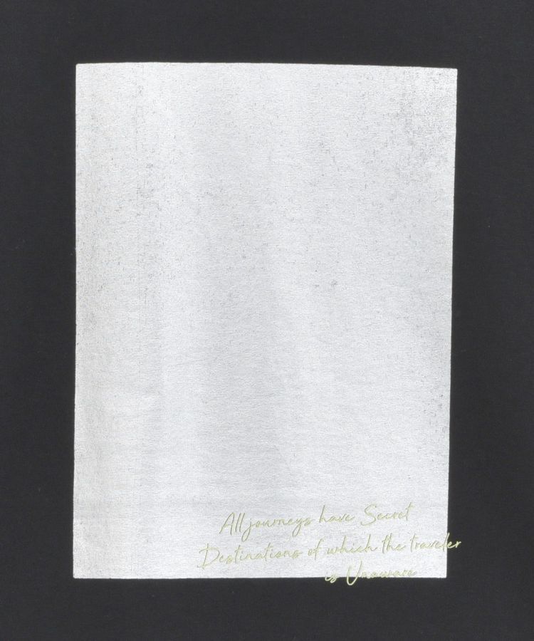 AMERICAN HOLIC「ボックス箔プリントロングTシャツ/チュニック」|Tシャツ・カットソー|