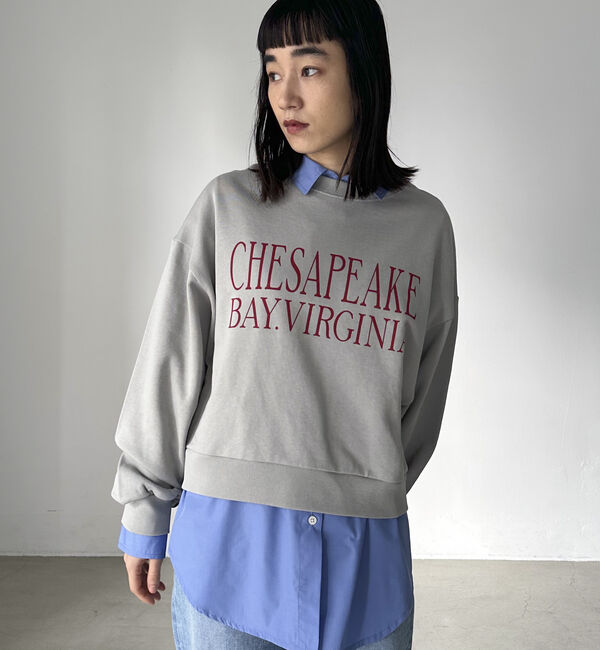 Doux archives「ＶＩＲＧＩＮＩＡロゴウォッシュスウェット」|Tシャツ・カットソー|GRAY