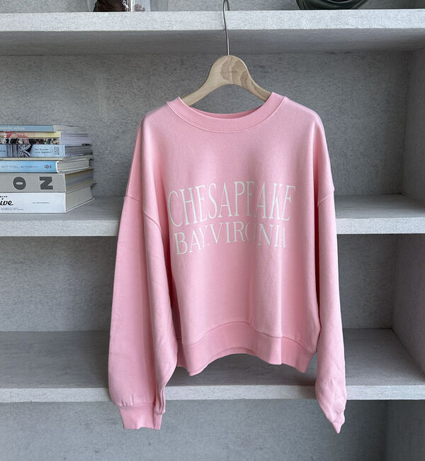 Doux archives「ＶＩＲＧＩＮＩＡロゴウォッシュスウェット」|Tシャツ・カットソー|