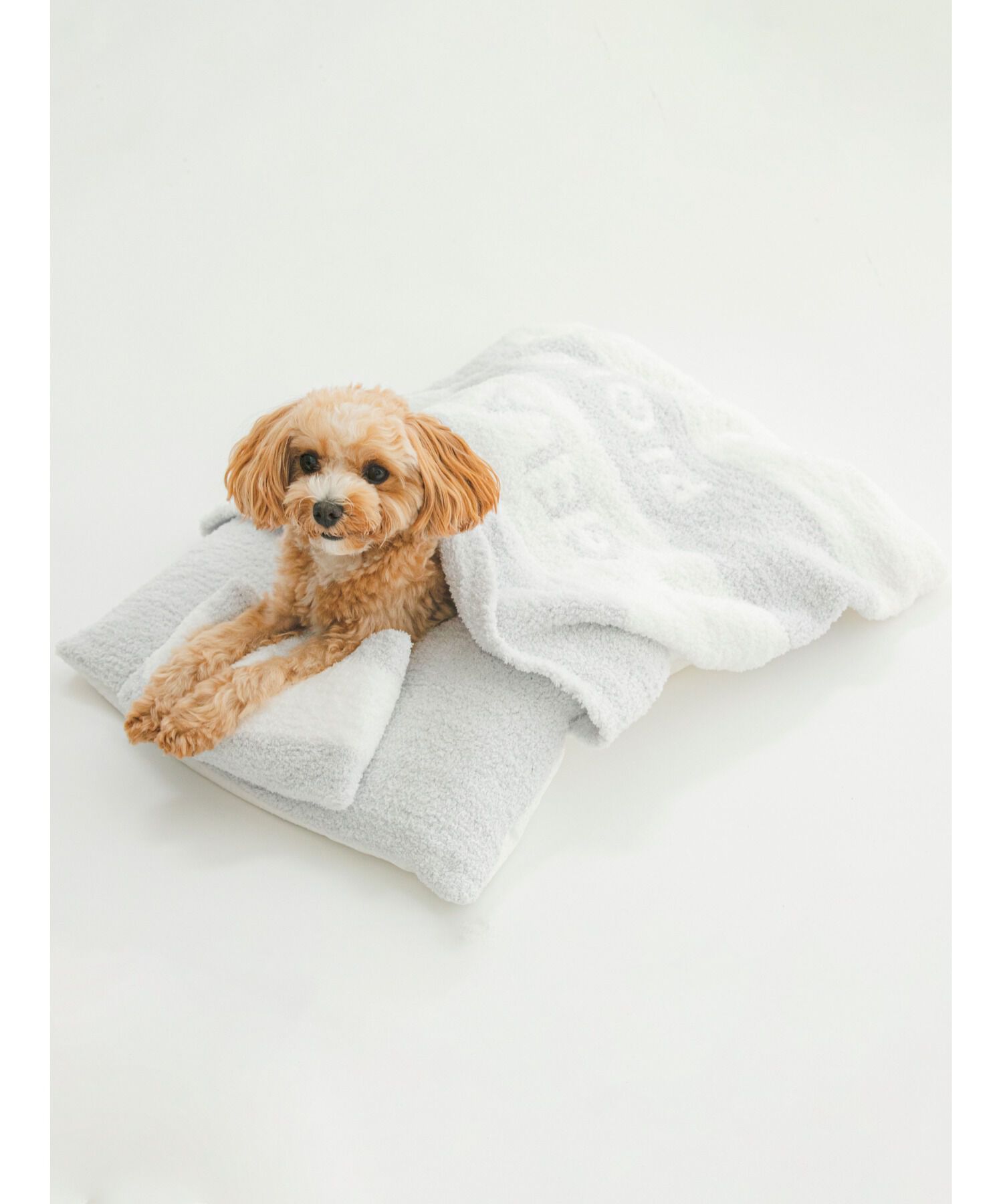  GELATO PIQUE CAT&DOG「【CAT&DOG】ベビモコおふとんセットＭ」|その他|BLU